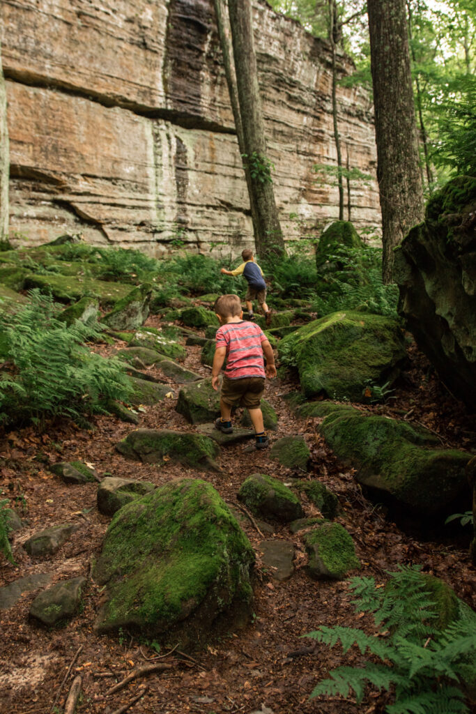 Rock formations on Big Rocky Hollow trail