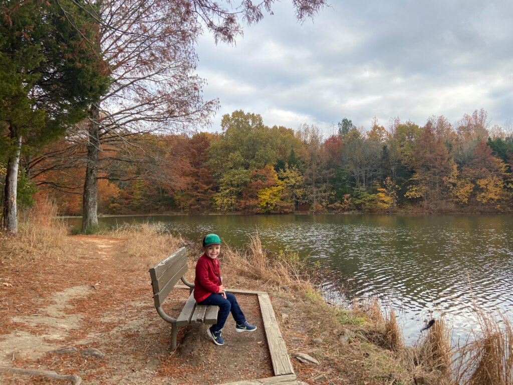 Picnic bench along the lake 