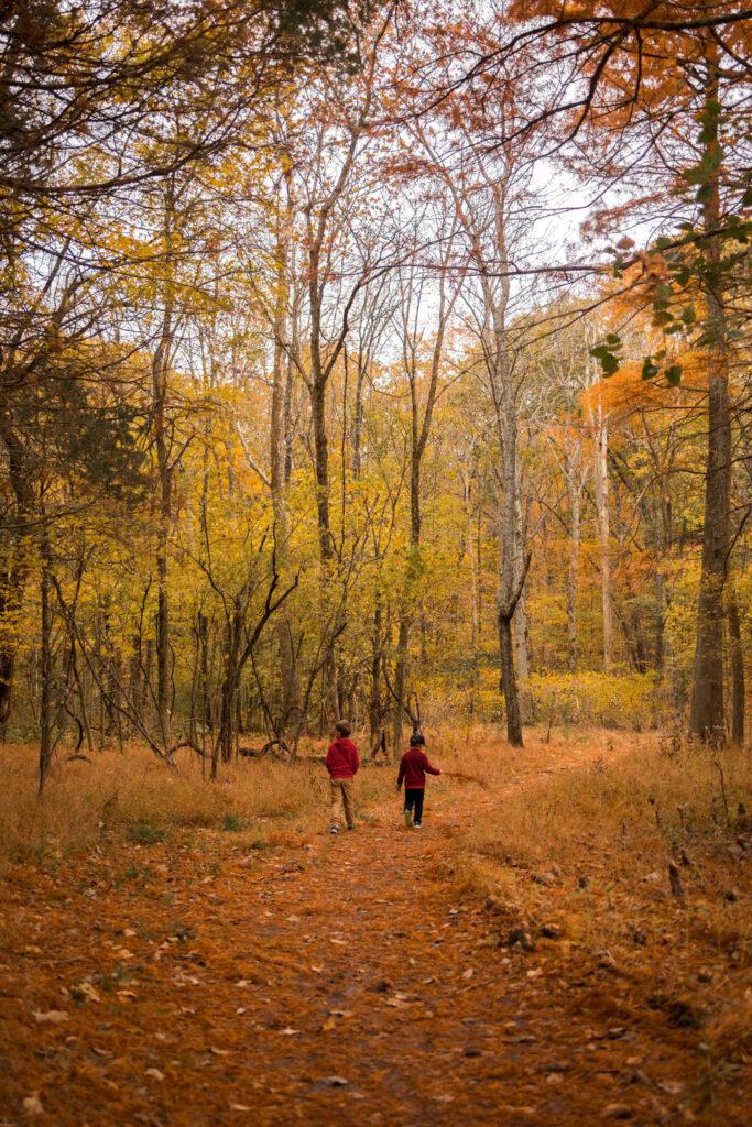 Beginning of the lake trail