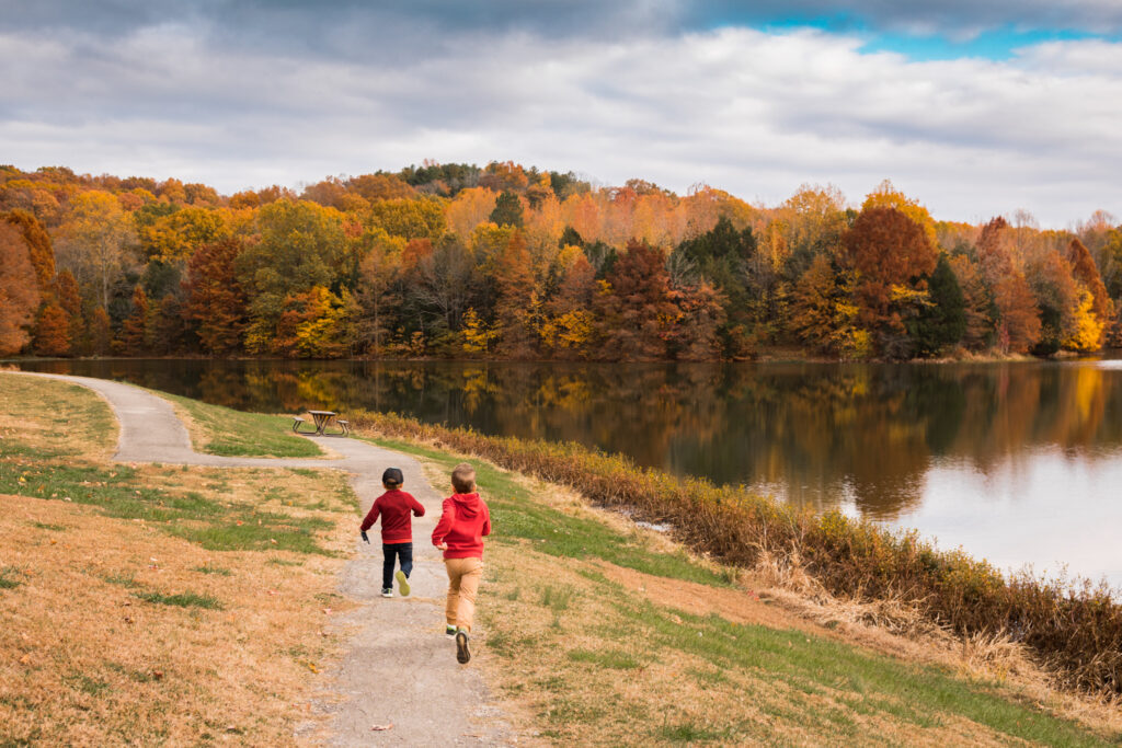 Ferne Clyffe lake Trail