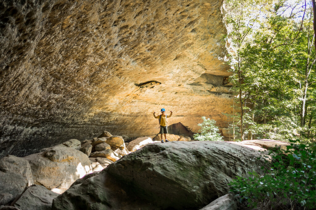 Rock Formation inside Hawks cave 