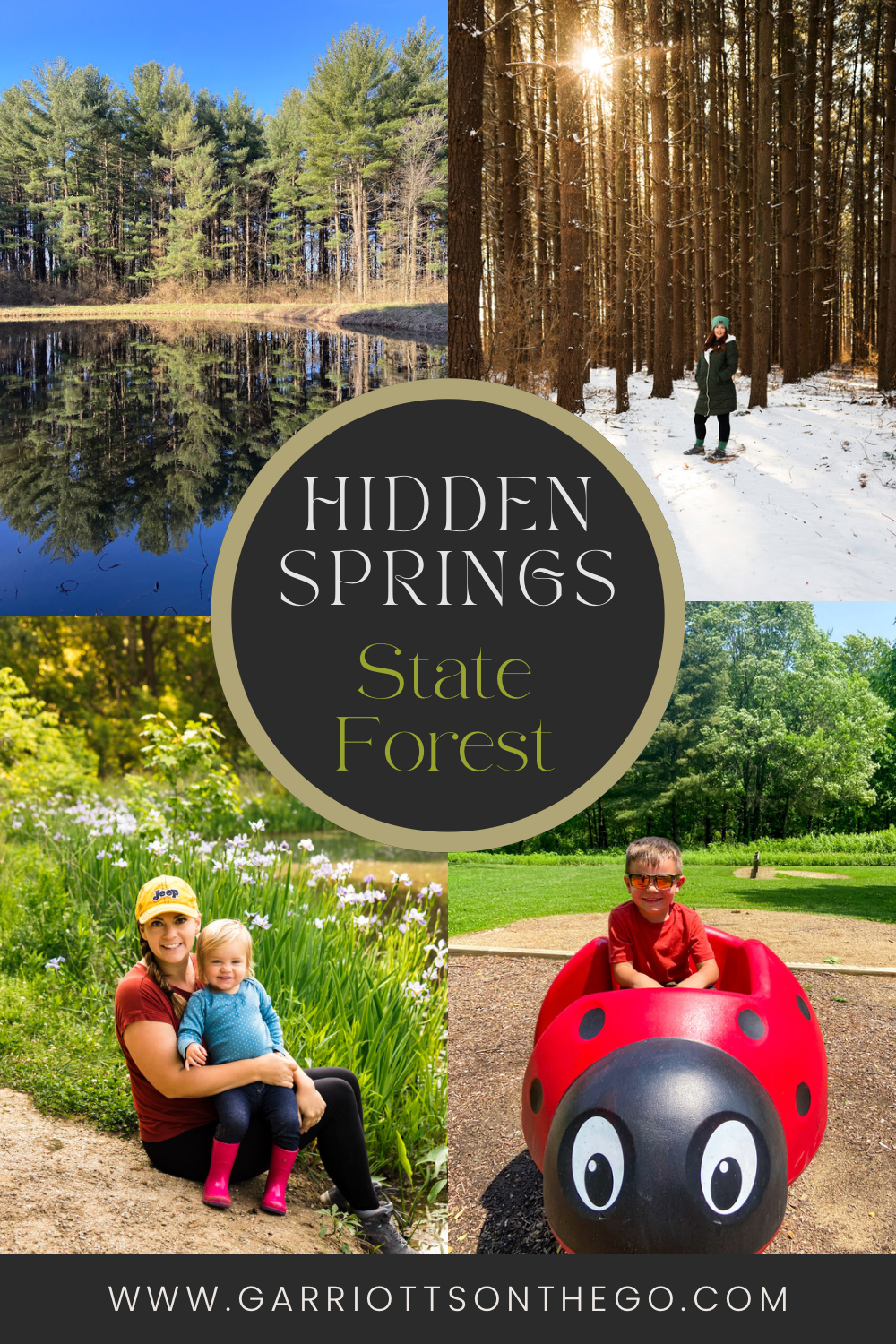 Hidden Springs State Forest: A Central Illinois Scenic Adventure